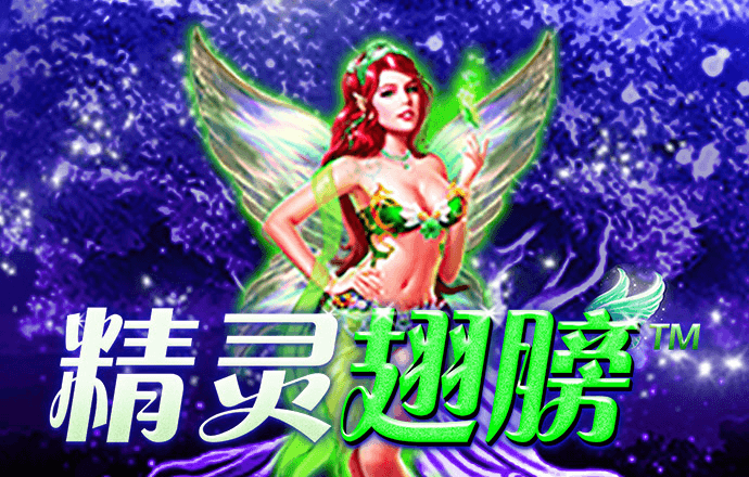 2024澳门资料大全正新版